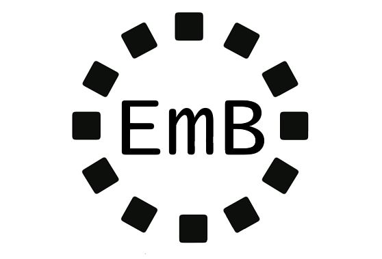 Embright Info